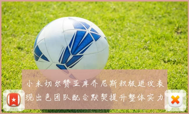小米切尔赞亚库乔尼斯积极进攻表现出色团队配合默契提升整体实力