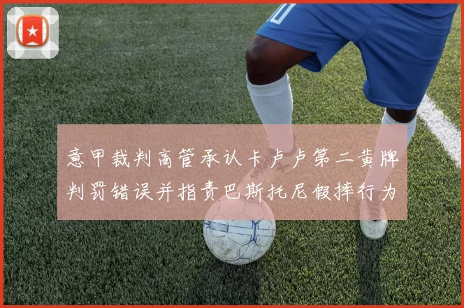 意甲裁判高管承认卡卢卢第二黄牌判罚错误并指责巴斯托尼假摔行为